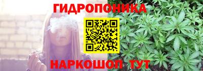 сатива Рязань